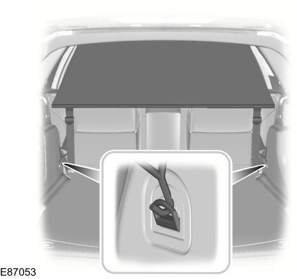 Image Shown Without Description