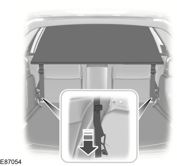 Image Shown Without Description