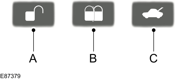 Image Shown Without Description