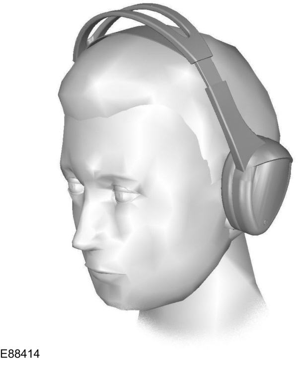 Image Shown Without Description
