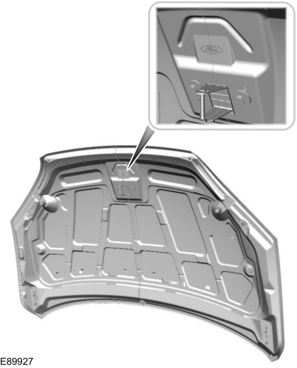 Image Shown Without Description