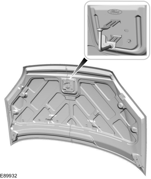 Image Shown Without Description