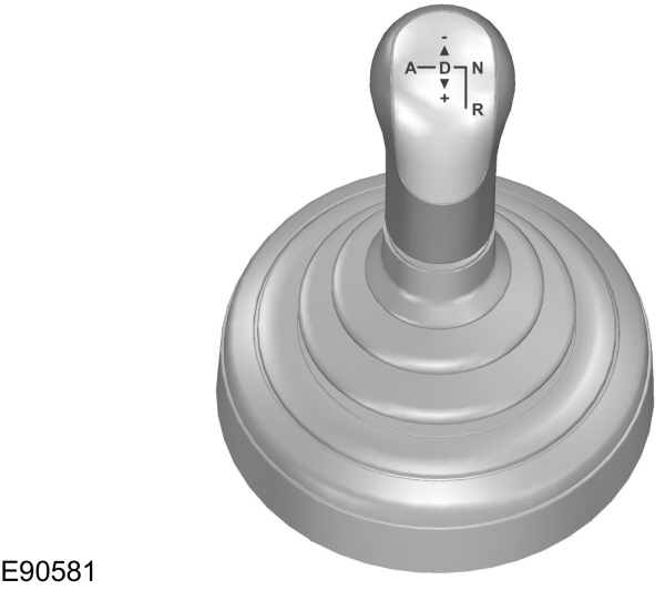 Image Shown Without Description