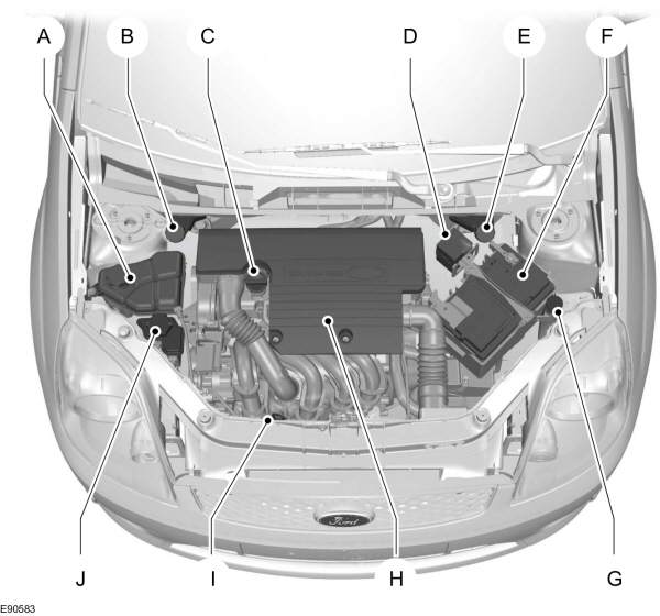 Image Shown Without Description