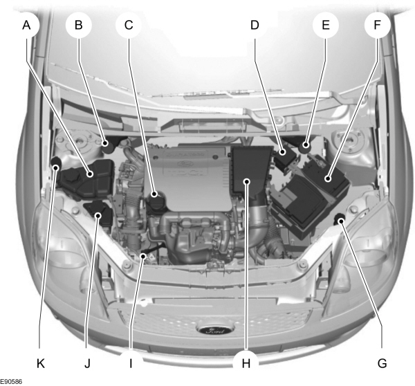Image Shown Without Description