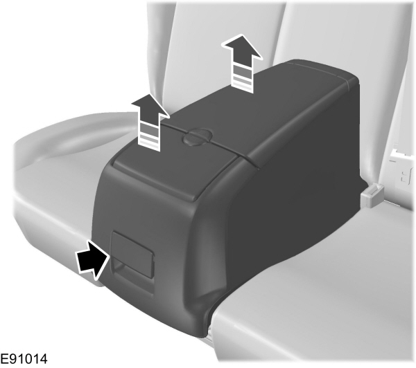 Image Shown Without Description