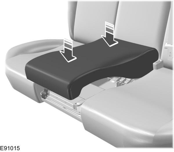 Image Shown Without Description