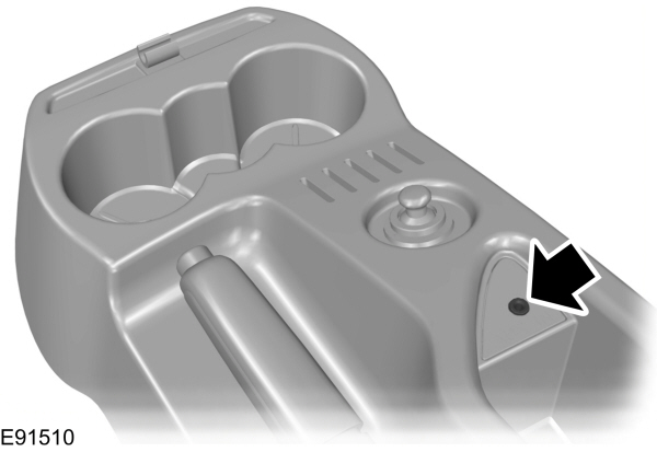 Image Shown Without Description
