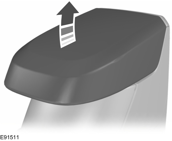 Image Shown Without Description