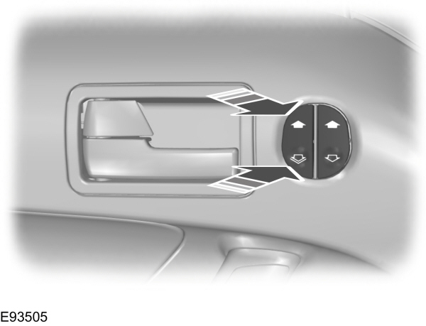 Image Shown Without Description