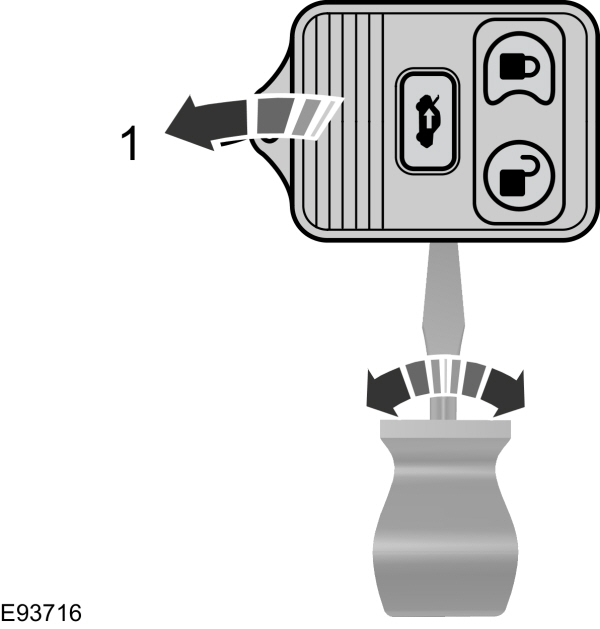 Image Shown Without Description