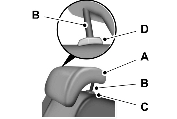 Adjust the Seat Head Restraint