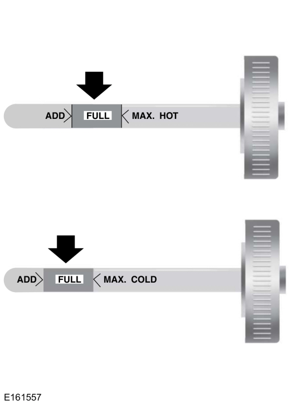 Power Steering Fluid Check