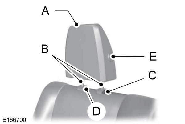 Rear Seat Outboard Head Restraint