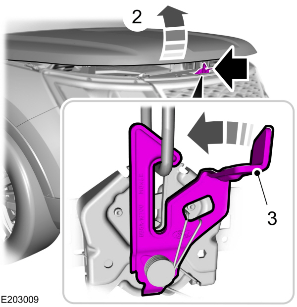 Hood Secondary Release Lever