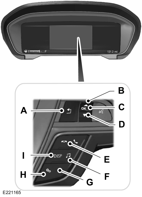 Steering Wheel Controls - Information Display