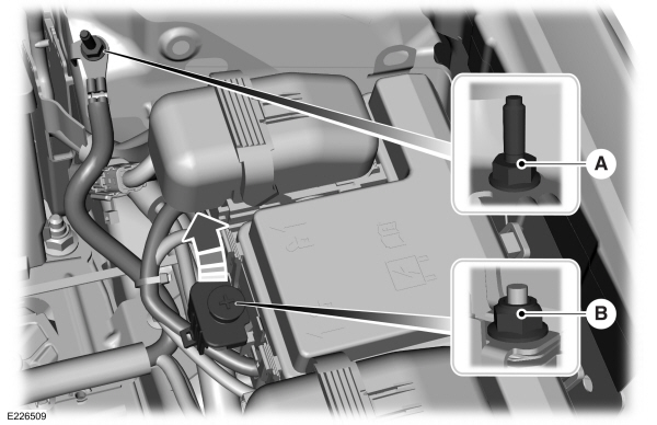 Image Shown Without Description