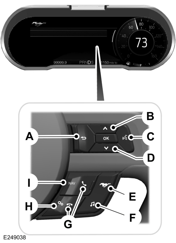 Information Display Controls