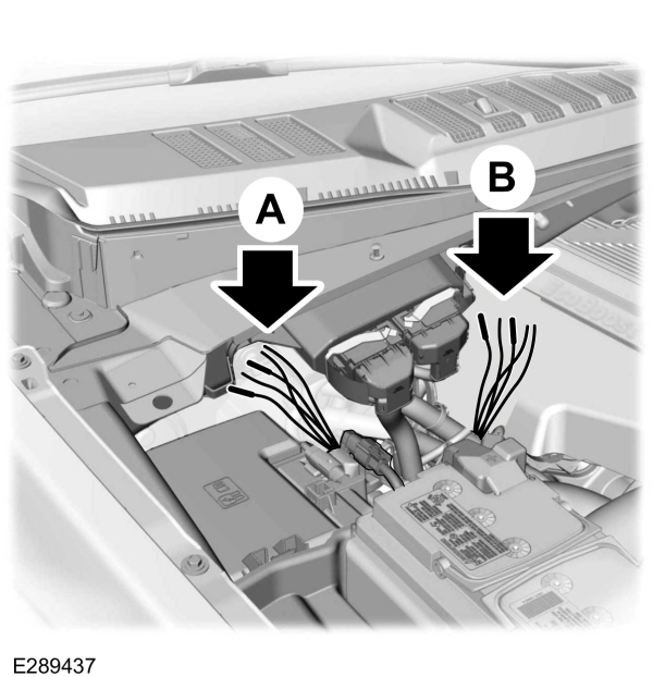 Blunt-Cut Wires