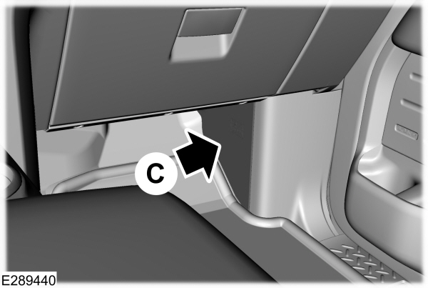 Wire Harness - Passenger Footwell